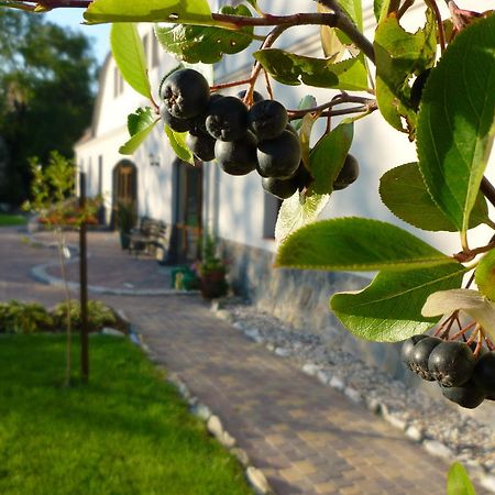 Вилла Aronia Park Lubiechowa Экстерьер фото