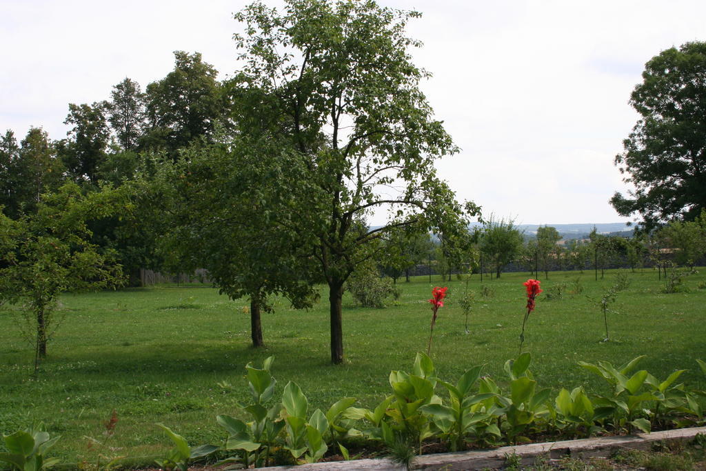 Вилла Aronia Park Lubiechowa Экстерьер фото