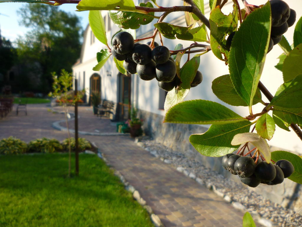 Вилла Aronia Park Lubiechowa Экстерьер фото